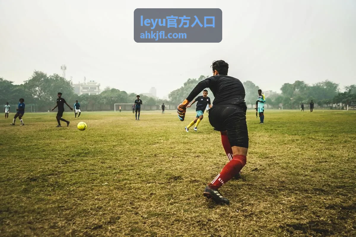 leyu官方入口导航分区示意图